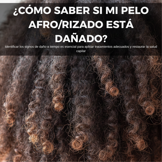 Cómo saber si mi pelo afro/rizado está dañado
